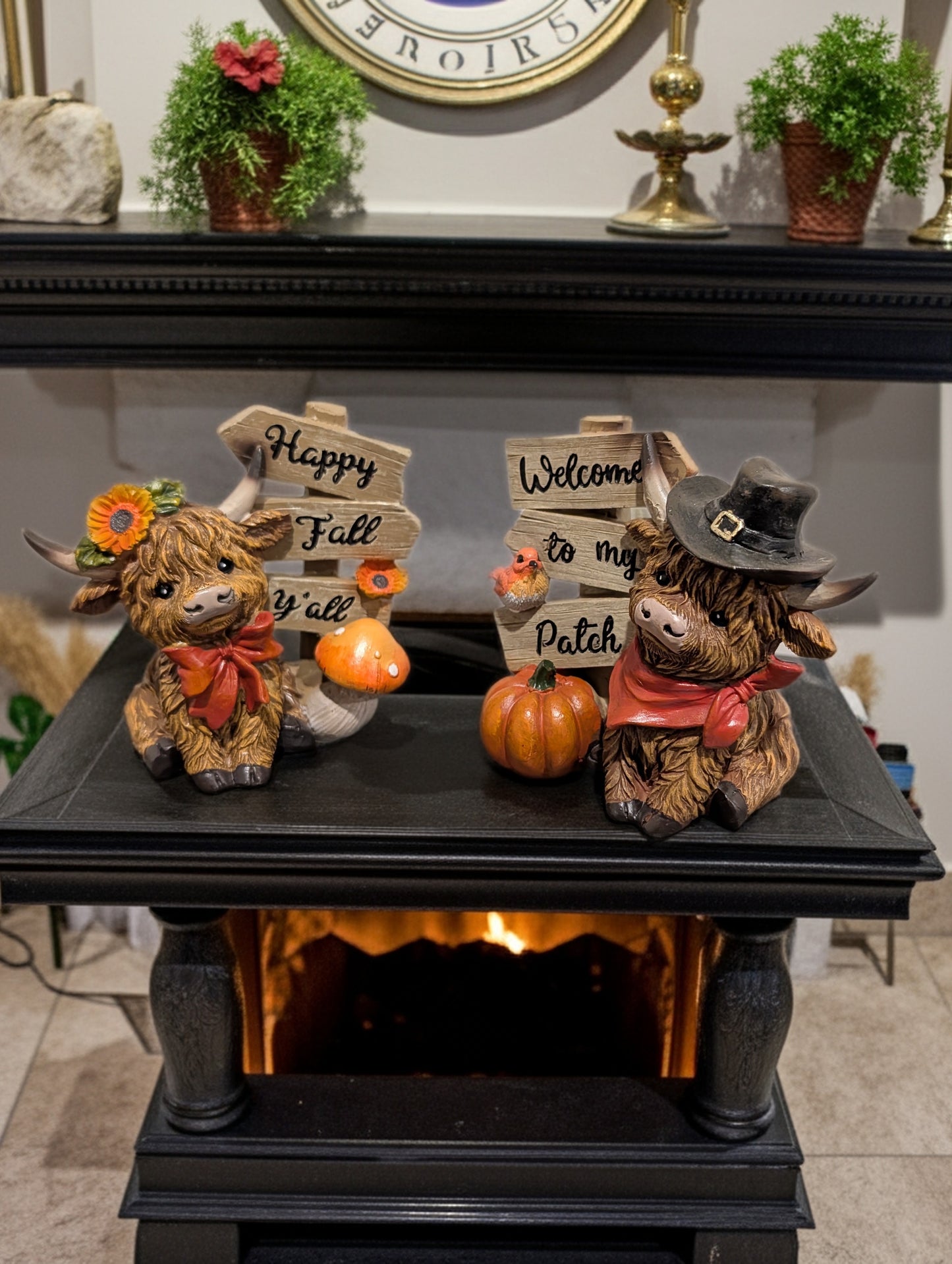 Signpost Harvest Highland Cow Set of 2
