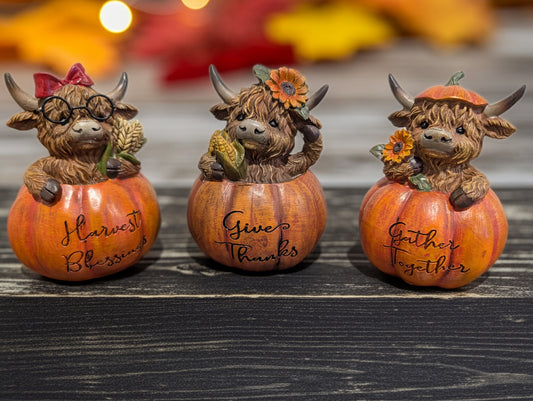 Highland Cow in Pumpkin Trio