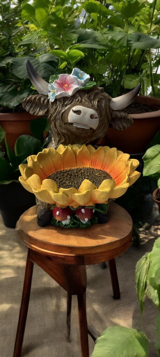 Highland Cow with Sunflower