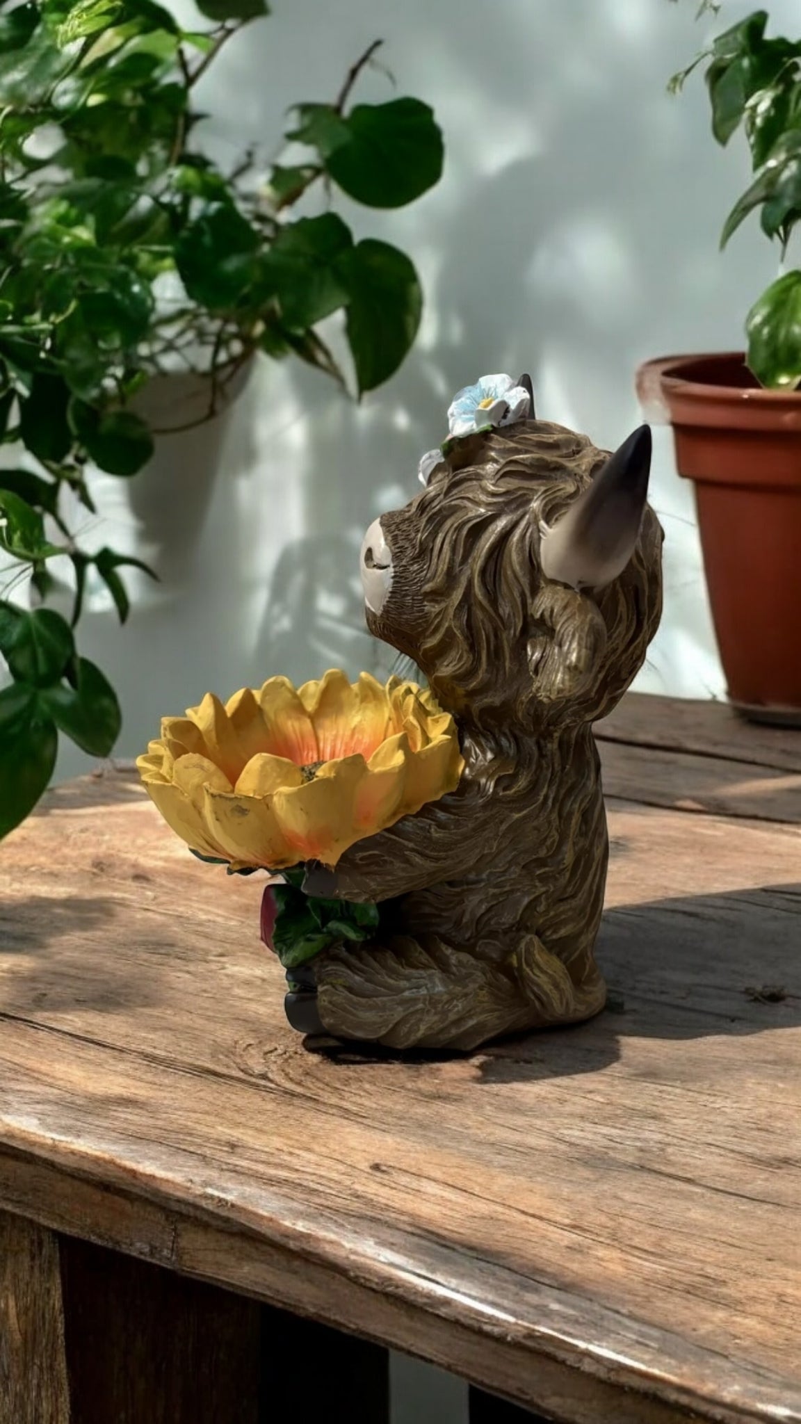 Highland Cow with Sunflower